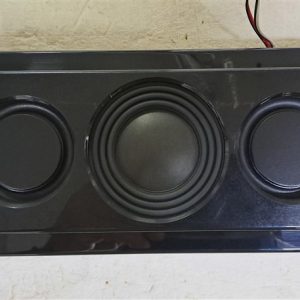 Philips 55OLED855 378G0320359GAA Subwoofer