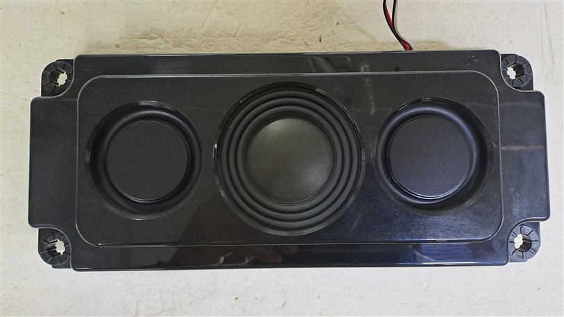 Philips 55OLED855 378G0320359GAA Subwoofer